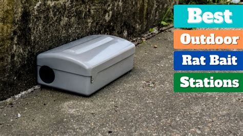 bait stations that look like electrical box exterior|best outdoor rat bait stations.